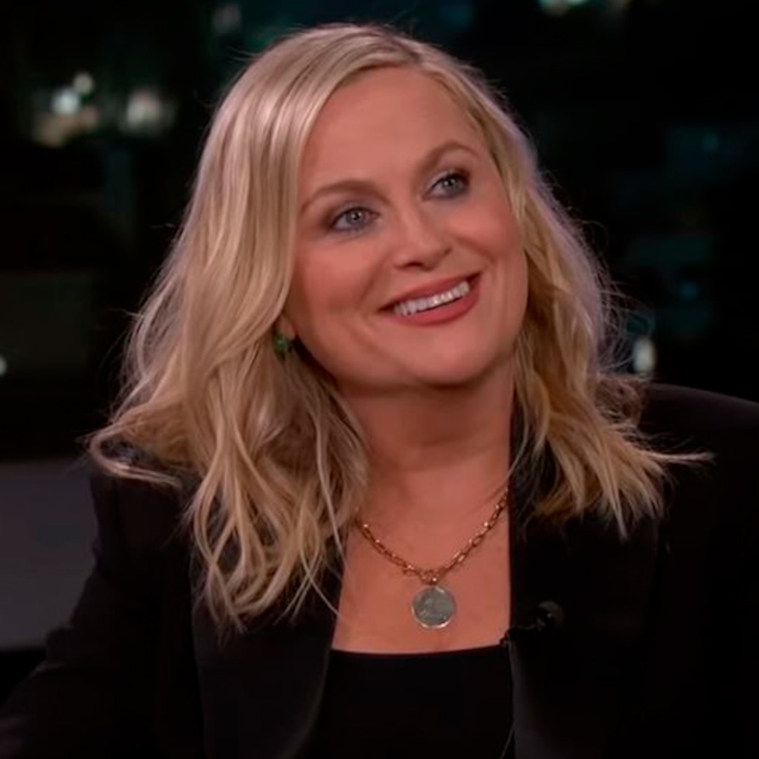 Amy Poehler's Teenage Trauma Is So Relatable
